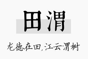 田渭名字的寓意及含义