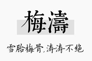 梅涛名字的寓意及含义