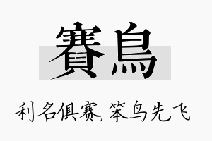 赛鸟名字的寓意及含义