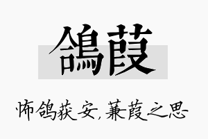 鸽葭名字的寓意及含义