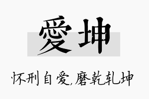 爱坤名字的寓意及含义