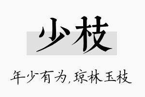 少枝名字的寓意及含义