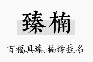 臻楠名字的寓意及含义