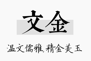 文金名字的寓意及含义