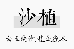 沙植名字的寓意及含义