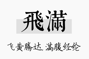 飞满名字的寓意及含义