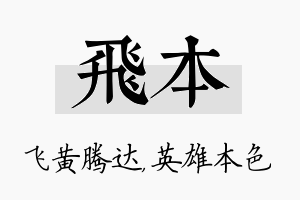 飞本名字的寓意及含义