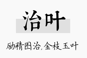 治叶名字的寓意及含义