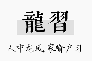 龙习名字的寓意及含义