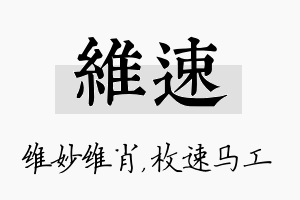 维速名字的寓意及含义