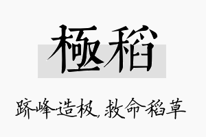 极稻名字的寓意及含义