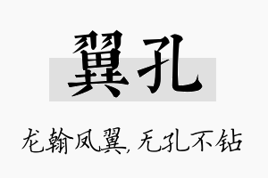 翼孔名字的寓意及含义