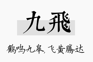 九飞名字的寓意及含义