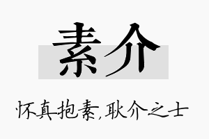 素介名字的寓意及含义