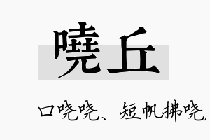 哓丘名字的寓意及含义