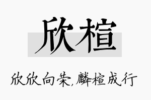 欣楦名字的寓意及含义