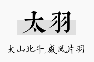 太羽名字的寓意及含义