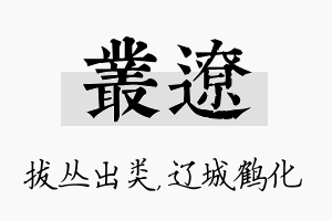 丛辽名字的寓意及含义