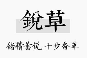 锐草名字的寓意及含义