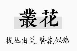 丛花名字的寓意及含义