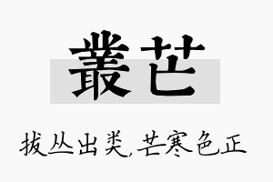 丛芒名字的寓意及含义