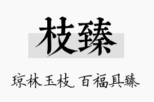 枝臻名字的寓意及含义