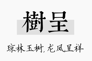 树呈名字的寓意及含义