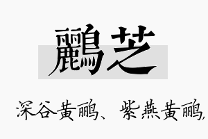 鹂芝名字的寓意及含义