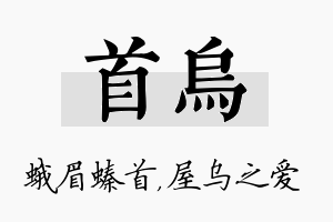 首乌名字的寓意及含义