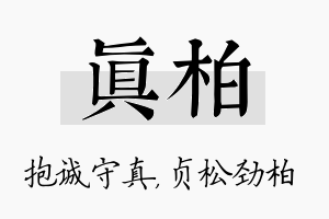 真柏名字的寓意及含义