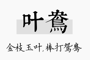 叶鸯名字的寓意及含义