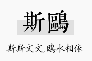 斯鸥名字的寓意及含义