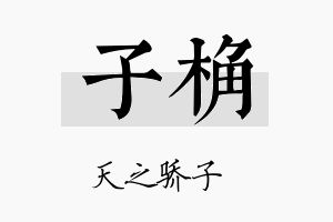 子桷名字的寓意及含义