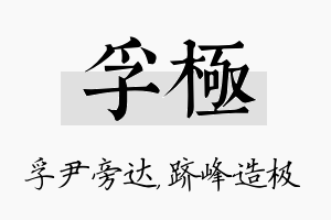 孚极名字的寓意及含义