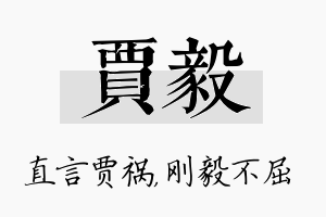 贾毅名字的寓意及含义