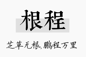 根程名字的寓意及含义