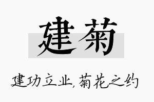 建菊名字的寓意及含义