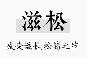 滋松名字的寓意及含义