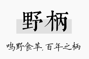 野柄名字的寓意及含义