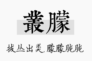 丛朦名字的寓意及含义