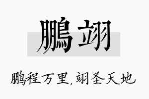 鹏翊名字的寓意及含义