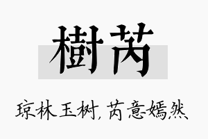 树芮名字的寓意及含义