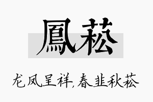 凤菘名字的寓意及含义