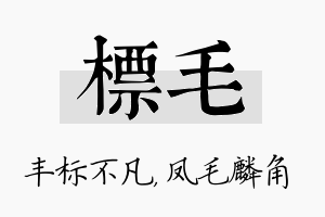 标毛名字的寓意及含义