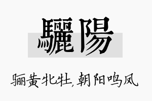 骊阳名字的寓意及含义