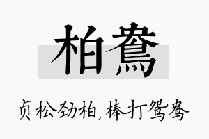 柏鸯名字的寓意及含义