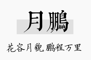 月鹏名字的寓意及含义