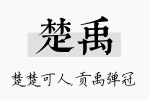 楚禹名字的寓意及含义