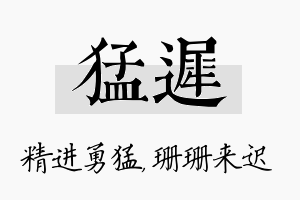 猛迟名字的寓意及含义