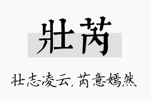 壮芮名字的寓意及含义